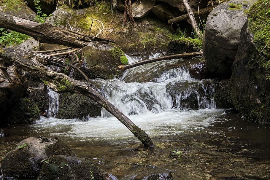 Bach, Forest, Branch, Nature, Stones, landscape, water, no people HD wallpaper