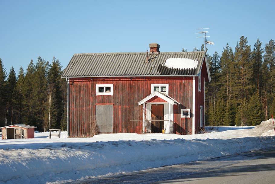 badgers, abandoned, house, decay, snow, winter, building exterior HD wallpaper