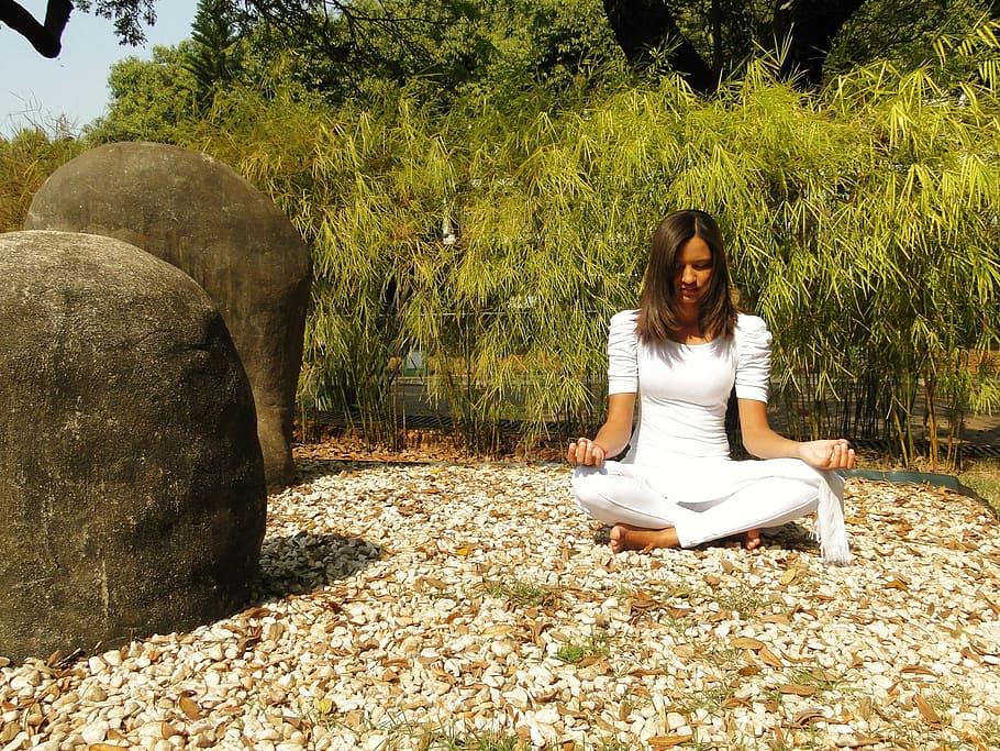woman meditating surrounded with green trees, yoga, buddhism HD wallpaper