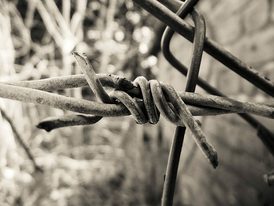Barbed Wire, Twisted, Sharp, Security, metal, fence, danger HD wallpaper