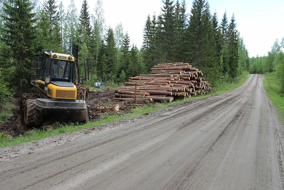 forest, road, log, forest machine, dirt road, transportation HD wallpaper