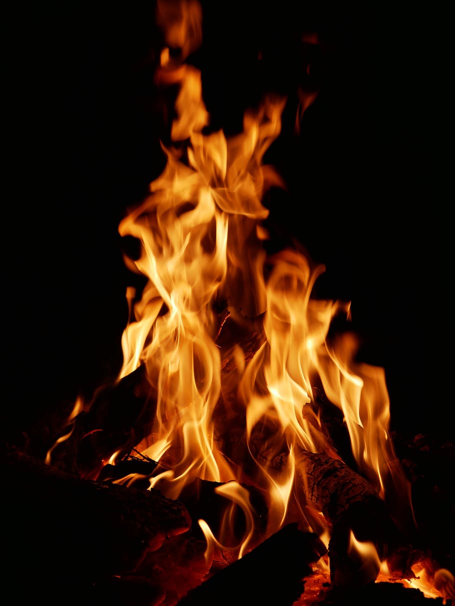 fire, flame, campfire, burning, heat - temperature, fire - natural phenomenon HD wallpaper