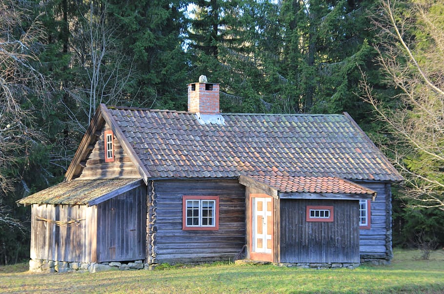 brown wooden log house, Norway, Log Cabin, Forest, Trees, Woods