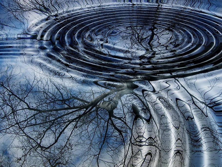 reflection of tree, rings, mirroring, water, wave, lake, birch HD wallpaper