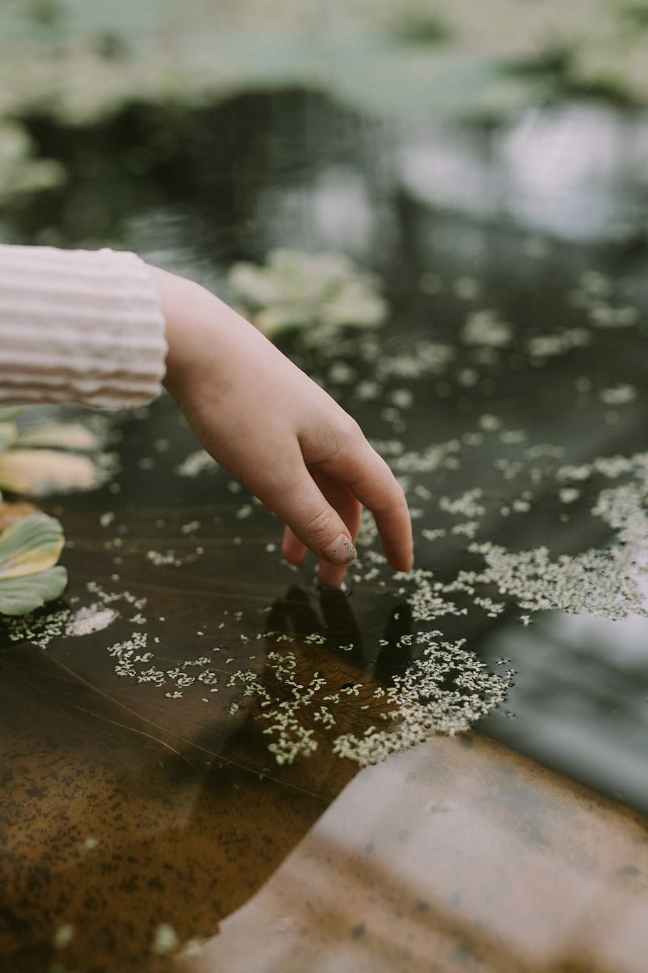person holding water, hand, touch, reflection, plant, green HD wallpaper