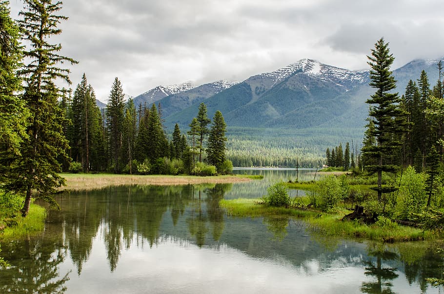 body of water near forest away from mountain during cloudy day photo HD wallpaper