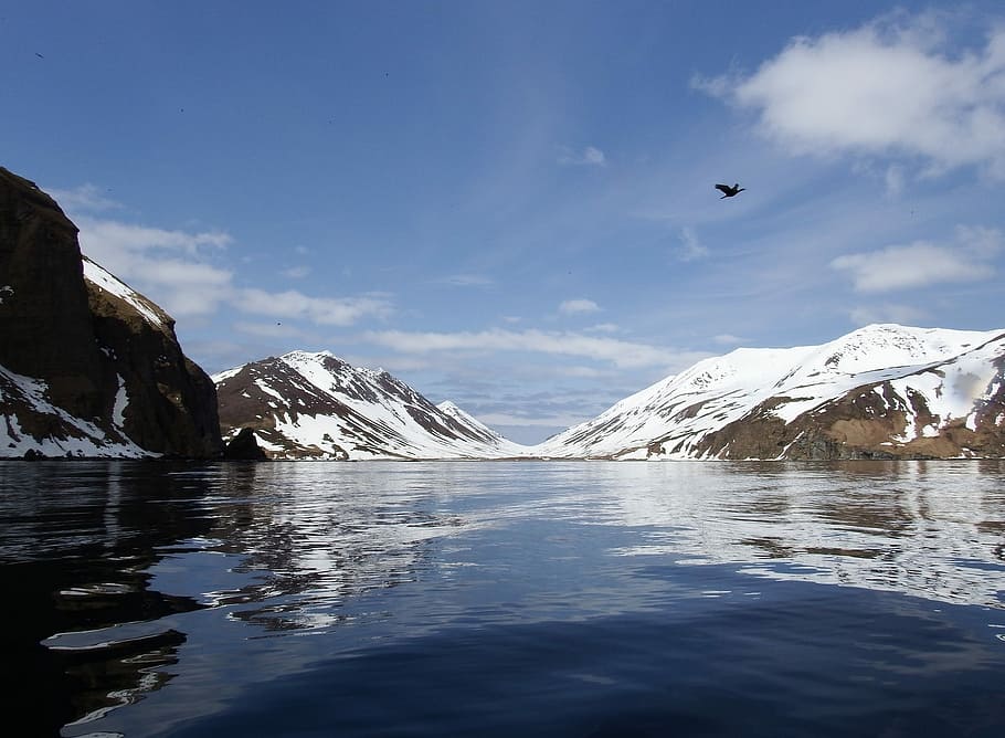 Bay, Ocean, Beach, Rocks, Spring, Snow, reflection, seascape HD wallpaper