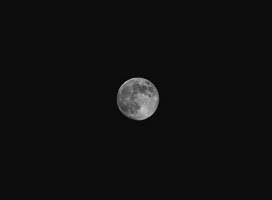 full may moon - 99 percent, slightly waxing gibbous, nature, HD wallpaper