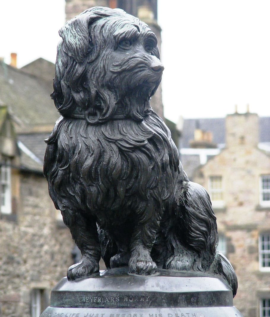 Edinburgh, Statue, Bronze, bobby, scotland, monument, built structure HD wallpaper