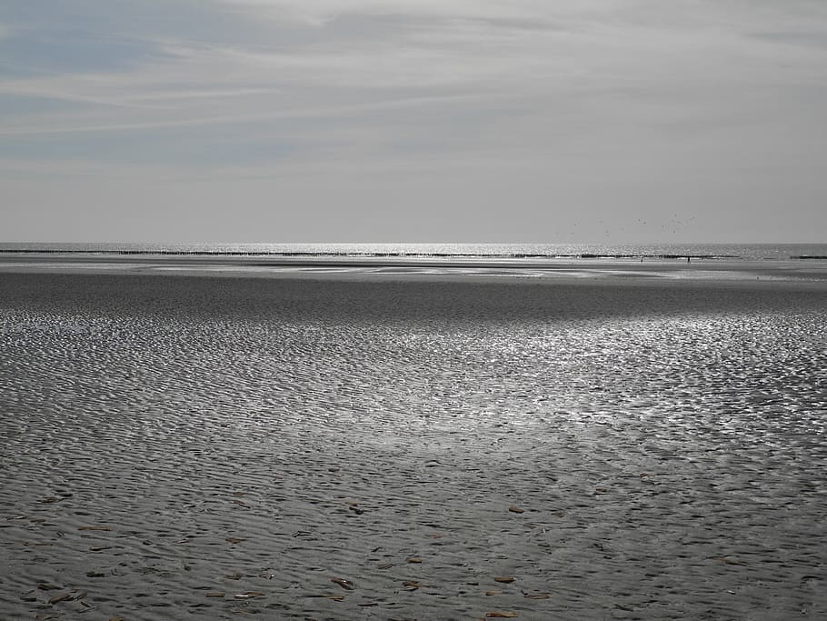 bay sum, maree basse, clouds, water, sea, beach, sky, land HD wallpaper