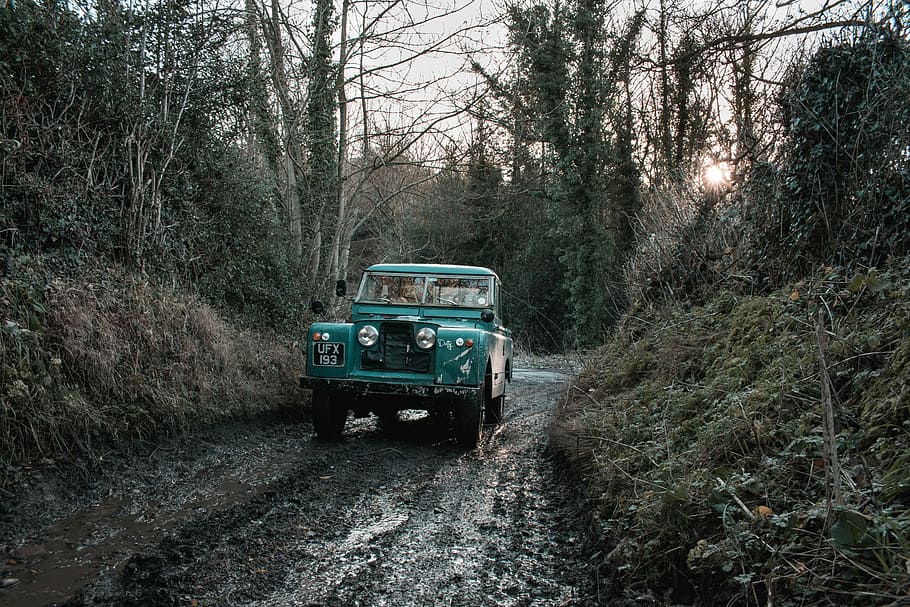 green car on rough road during daytime, teal SUV on forest, land rover