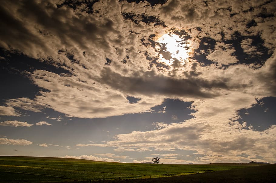 weather, clouds, sun, meadows, pasture, grass, fields, sky HD wallpaper