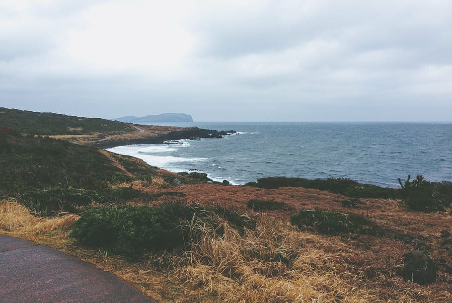 bay, beach, bushes, clouds, coast, daylight, dry grass, island HD wallpaper