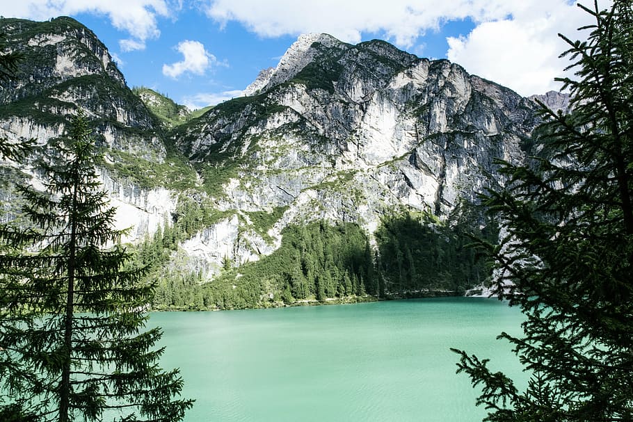 mountain near body of water during daytime, green, forest, white HD wallpaper
