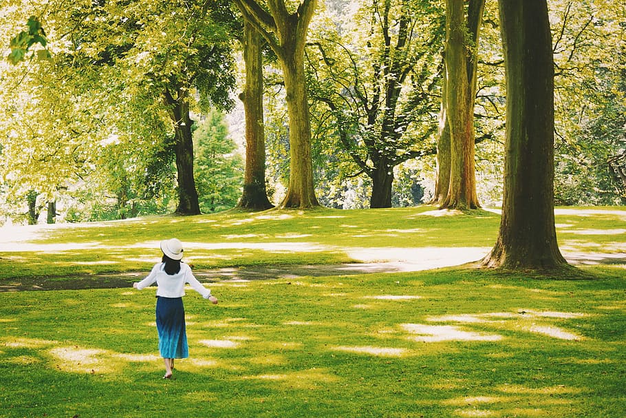 Woman walking in a tree-lined park, people, girl, nature, outdoors
