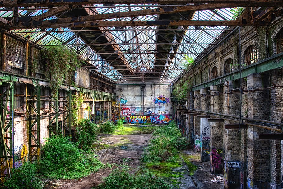 green leafed grass, hall, atmosphere, nature, conquer, past, factory