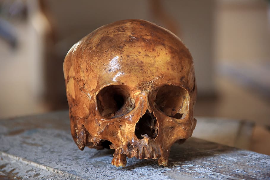 brown human skull on brown surface, head, bone, symbol, death