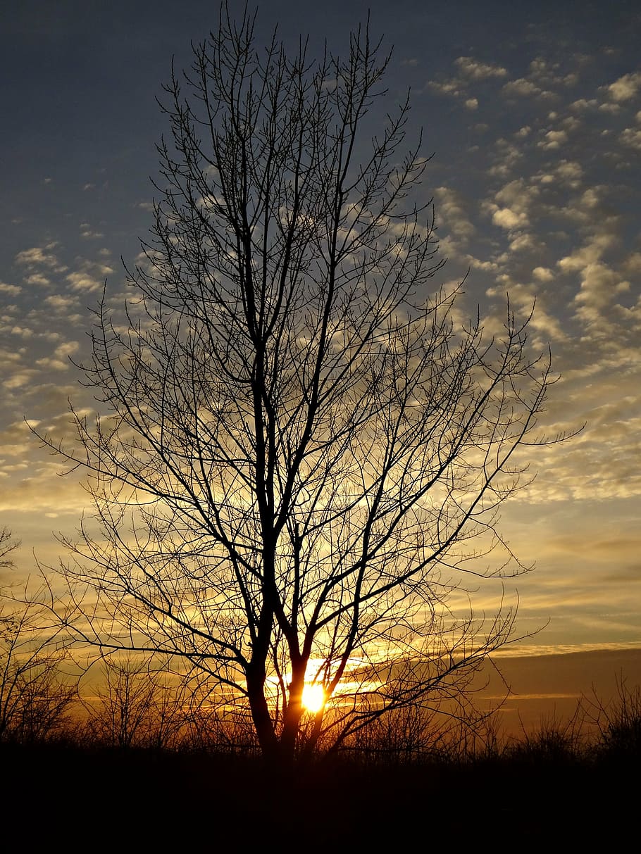 sky, sunset, landscape, the backlight, orange sky, winter, beauty HD wallpaper