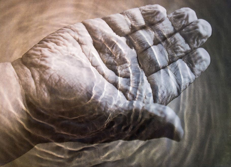 wrinkles, hand, human body part, human hand, indoors, close-up HD wallpaper