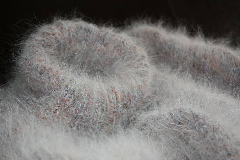 angora, wool, knit, fluffy, cat's cradle, soft, collar, sweater HD wallpaper