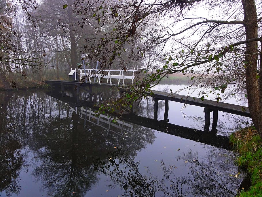 Netherlands, Stream, Water, Bridge, reflections, nature, outside HD wallpaper