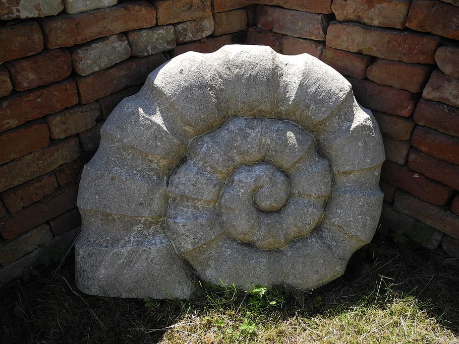 stone, snail, garden, shell, spiral, art, decorative, no people HD wallpaper