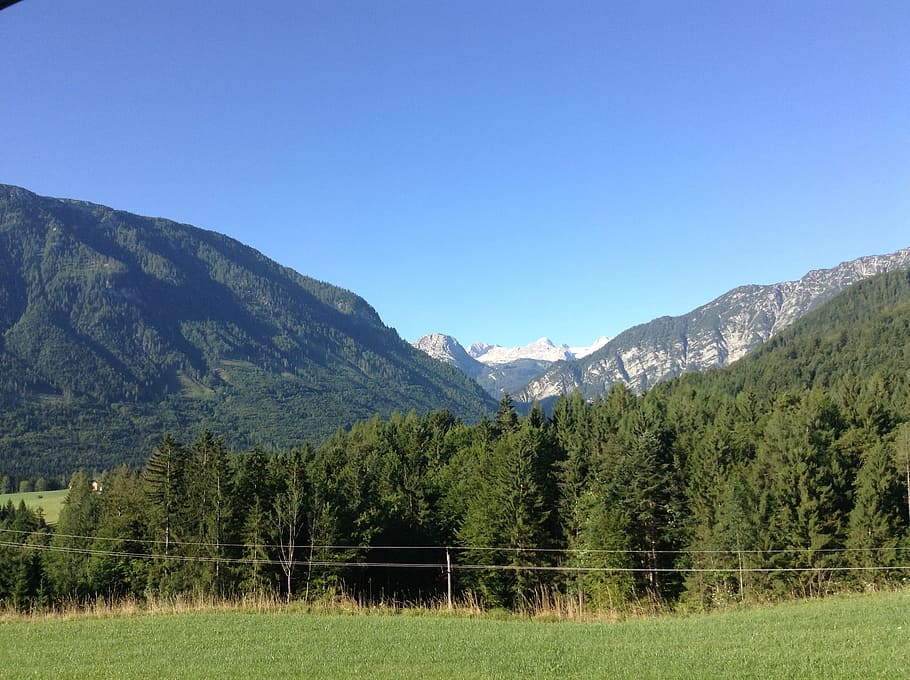 dachstein, lerch reith, styria, mountain, tree, plant, beauty in nature HD wallpaper