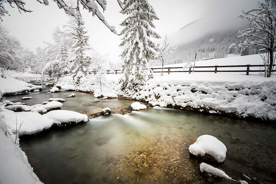 Freezed peace, snow covered grasses beside water stream, river HD wallpaper