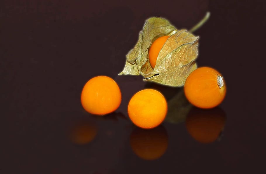plant, nature, live, food, orange color, food and drink, healthy eating HD wallpaper