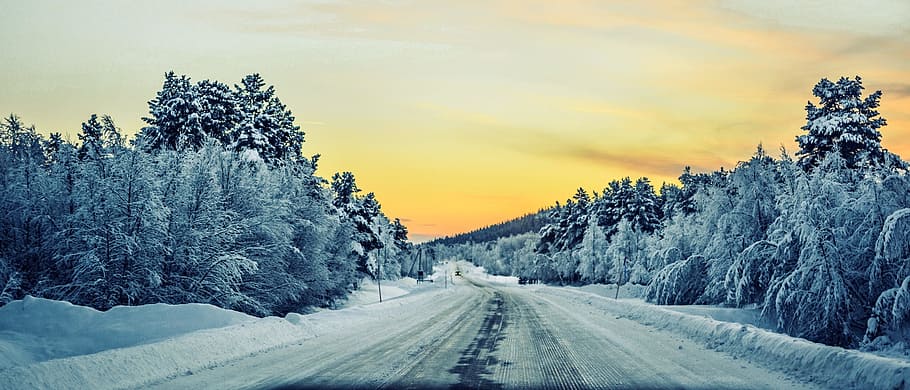 snow frosted forest during daytime, winter, road, sunrise, view, HD wallpaper