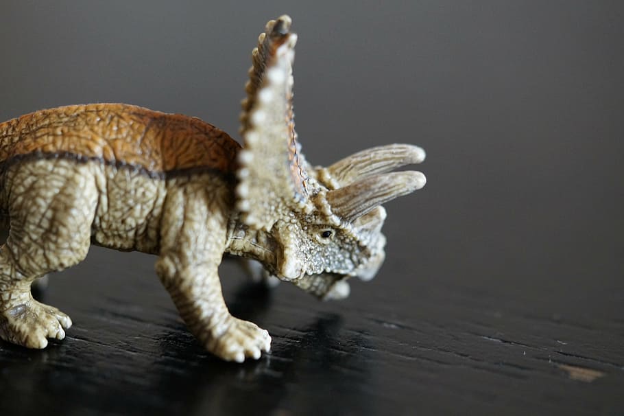 dinosaur, slow action figure, replica, toys, children, giant lizard, HD wallpaper