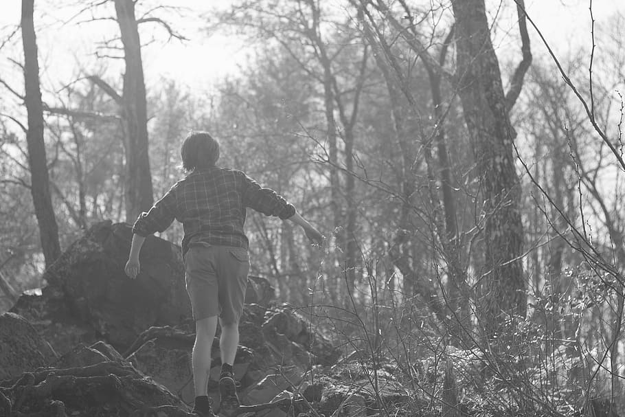 boy, lost, forest, black and white, trees, mountain, hiking HD wallpaper