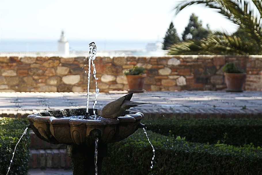 malaga, paloma, source, alcazaba, monument, ave, water, nature HD wallpaper