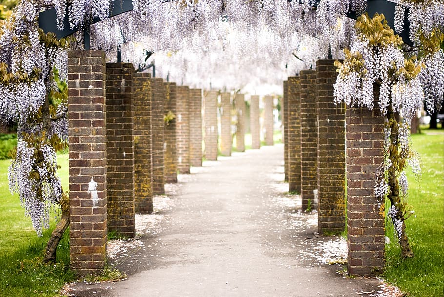 bricks, pillars, flowers, path, pavement, plant, architecture HD wallpaper