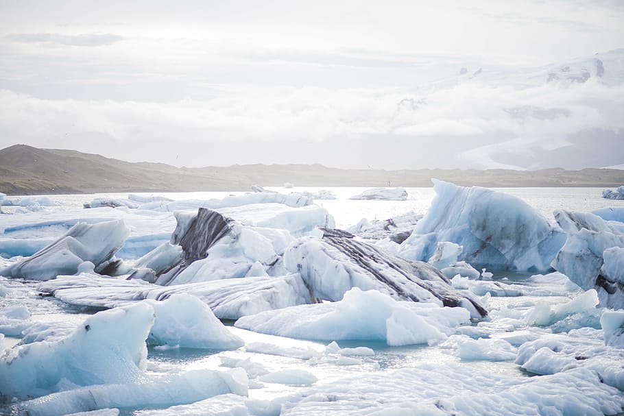 icebergs near land, floe, cold, nature, blue, white, arctic, antarctic, HD wallpaper