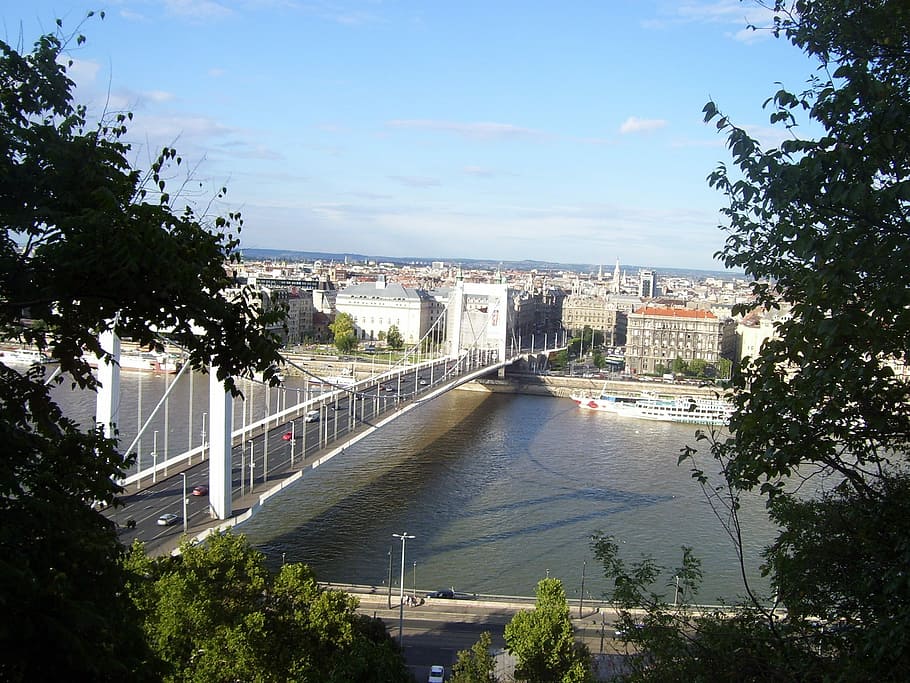 Bridge, City, Danube, tree, architecture, day, bridge - man made structure HD wallpaper