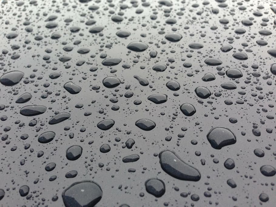 drops, rain, water, wet, full frame, backgrounds, no people HD wallpaper