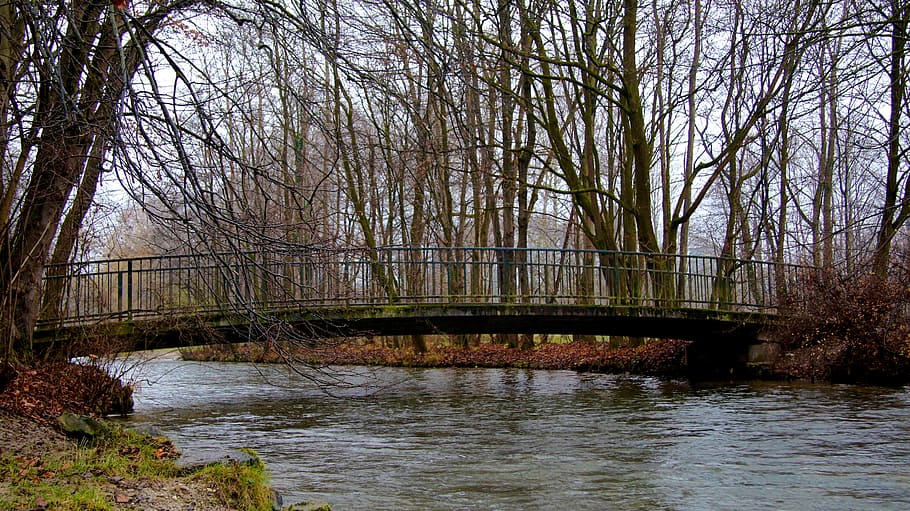 winter, bridge, river, autumn, trees, park, water, bare tree HD wallpaper