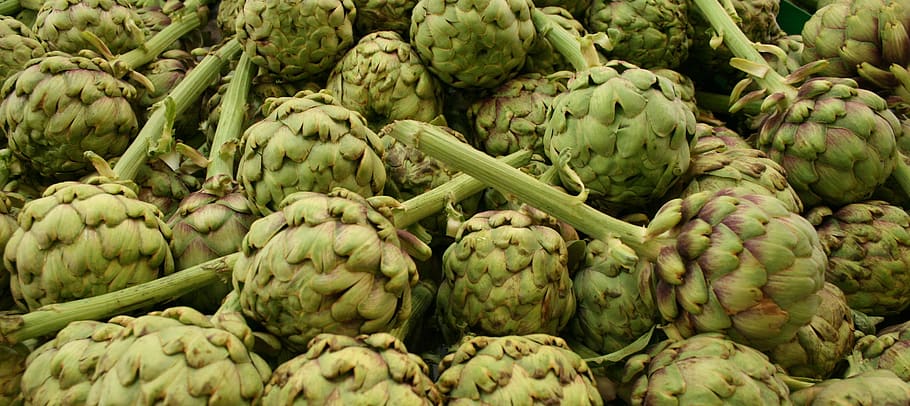 artichokes, vegetable, nature, food and drink, healthy eating HD wallpaper