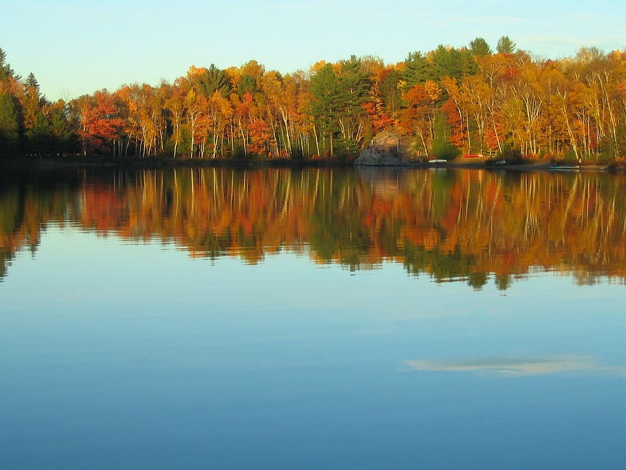 autumn, lake, reflection, fall, colors, scenic, trees, tranquility HD wallpaper