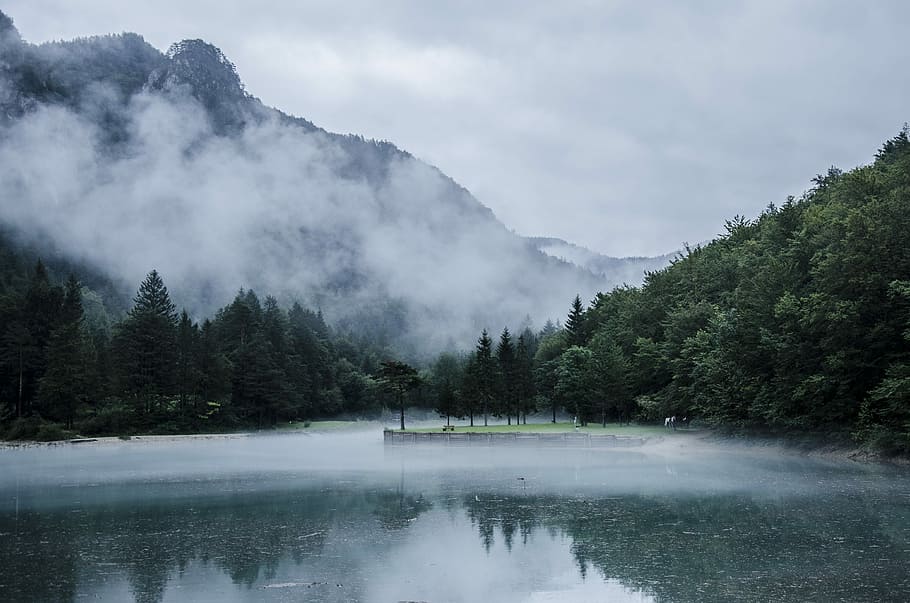 landscape photography of smoky mountains, black, blue, fog, gray