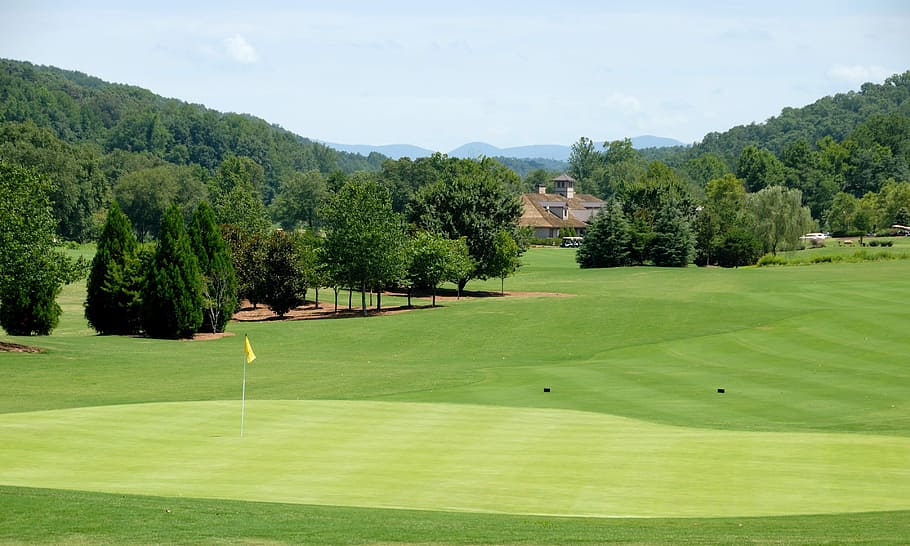 golf field during daytime, Golf Course, Sport, green, grass, game, HD wallpaper