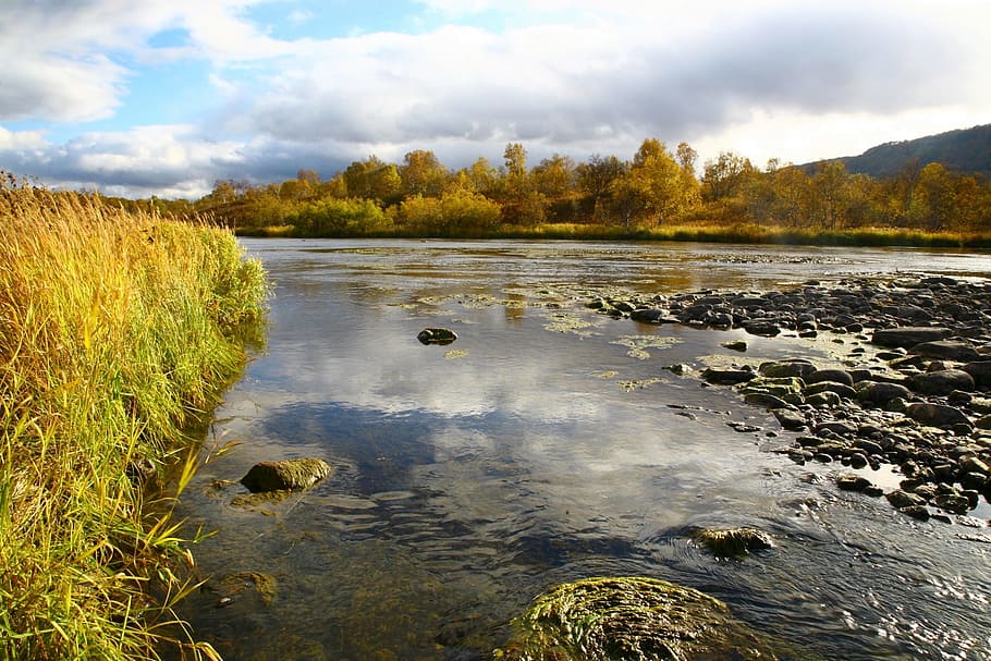 river, back on track, for, water, beach, bend, turn the river HD wallpaper