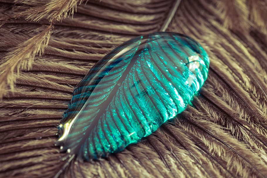 teal liquid droplet, strauss spring, drip, feather, close, macro