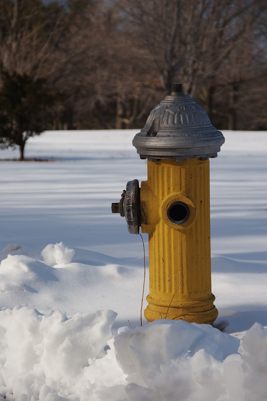 snow, hydrant, yellow, winter, cold temperature, nature, tree HD wallpaper