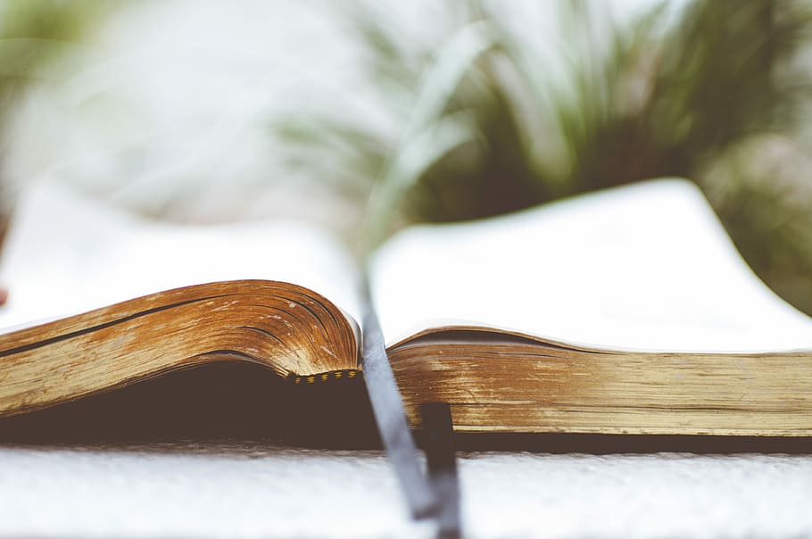 open book on white surface, closeup photo of opened white book HD wallpaper