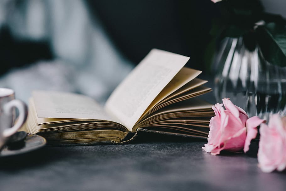 Lovely roseses, book and coffee, interior, resting, relax, essentials HD wallpaper