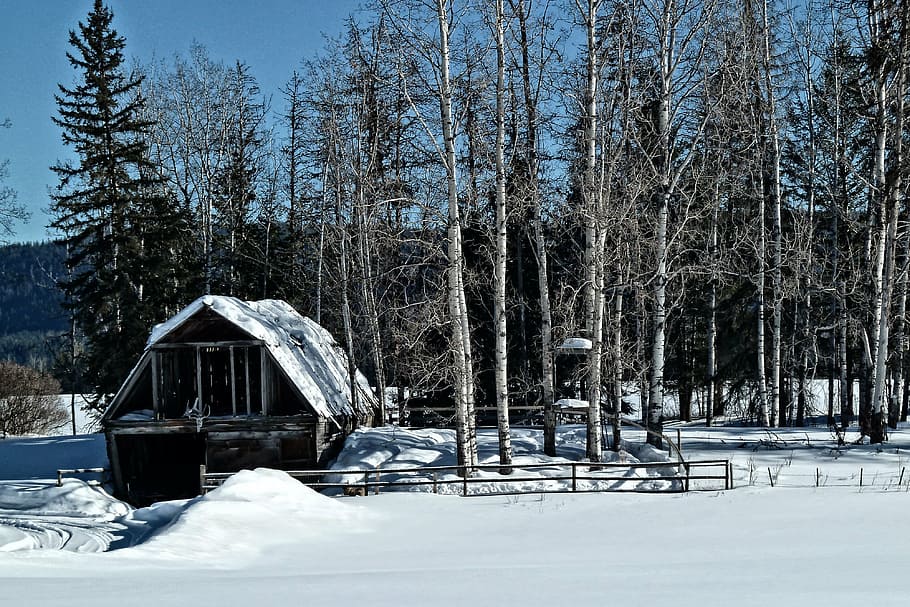 barn, old, farm, rustic, wooden, weathered, snow, scenery, landscape HD wallpaper