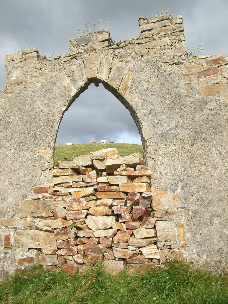 Cows, Wall, Stone, Rural, green, countryside, old Ruin, stone Material HD wallpaper