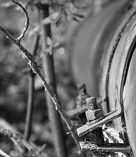 tube, pipe, screw, matrix, forest, branch, black and white HD wallpaper